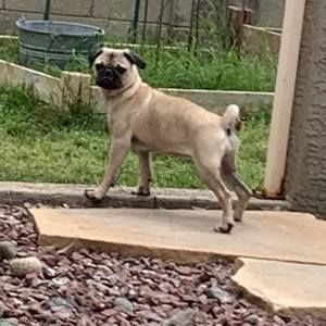 Meet your Posher, Bridget